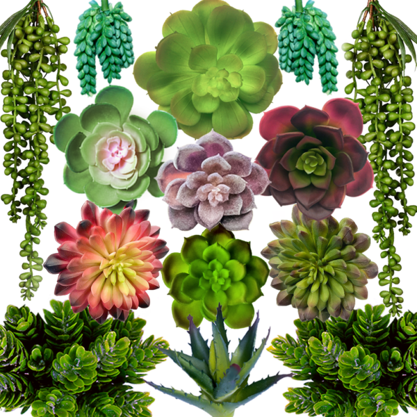 Set of 14 Faux Succulents