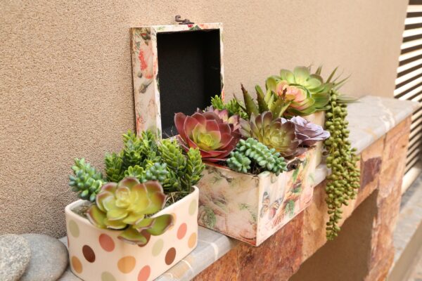 Set of 14 Faux Succulents - Image 4